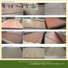 Okoume, Bintangor, Pine, etc Commercial Plywood with Best Price